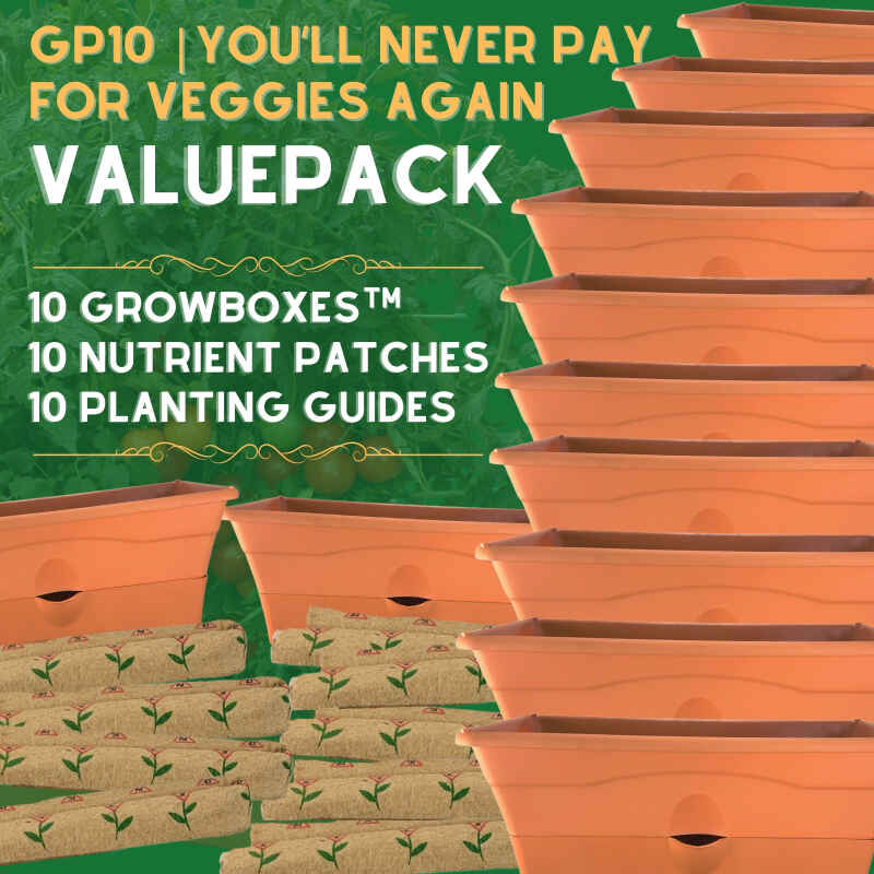 10 GrowBox Discount Bundle