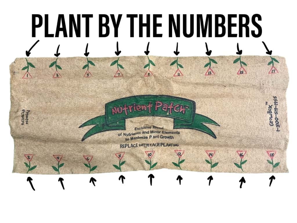 growbox plant by the numbers