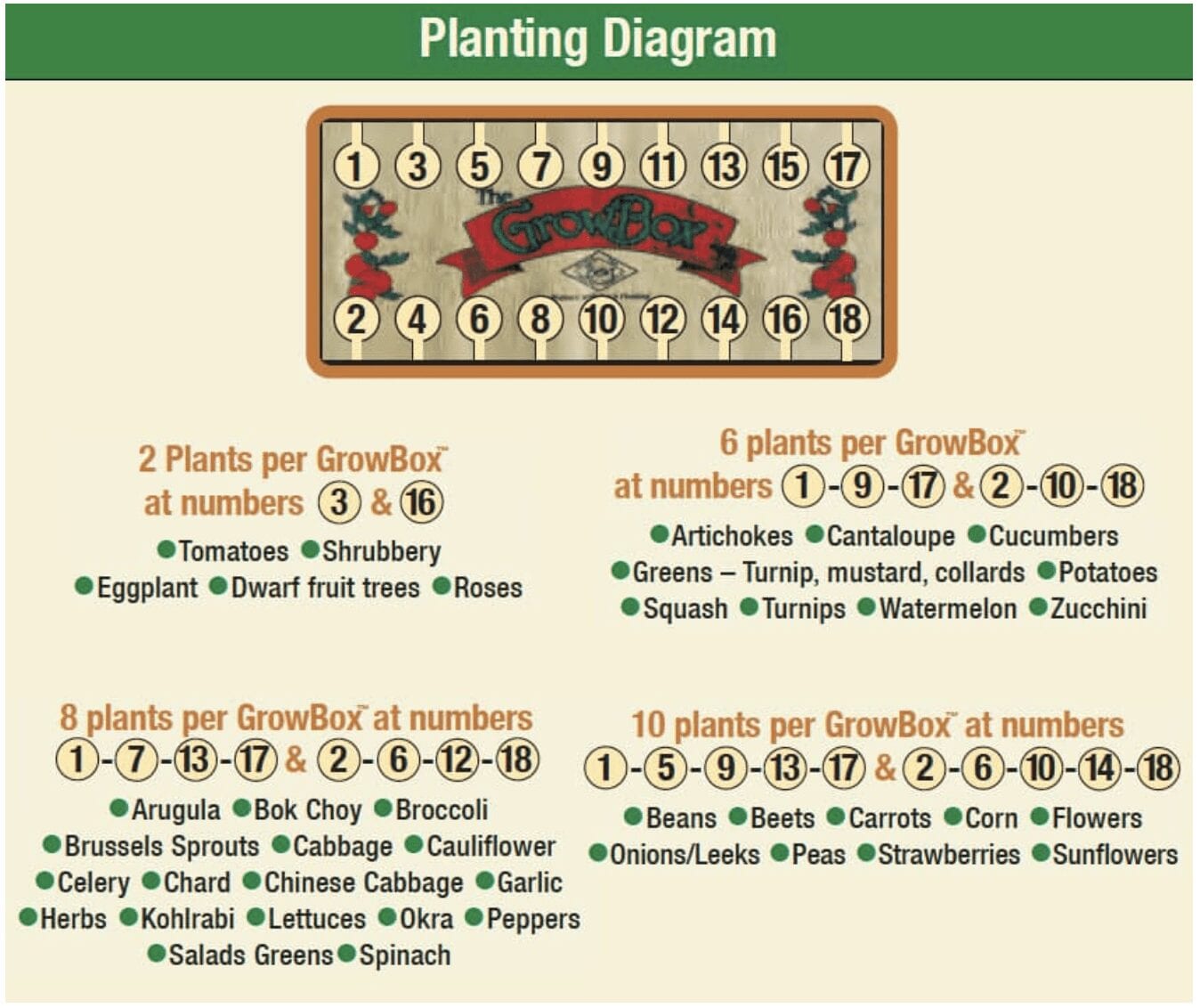 step 4 plant diagram