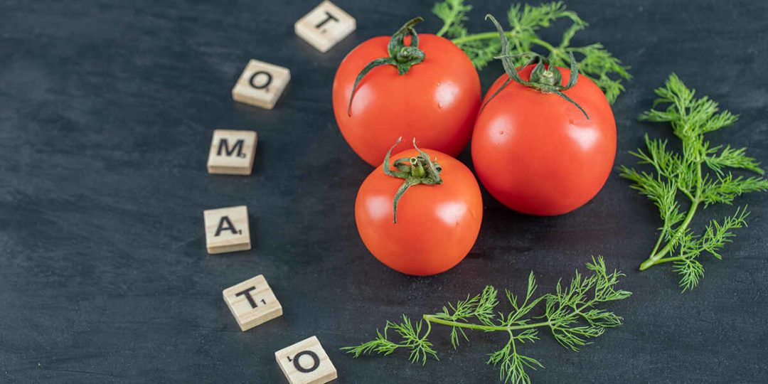 tomatoes